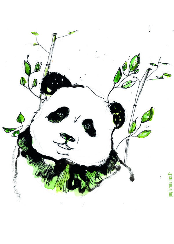 Illustration t-shirt panda bambou